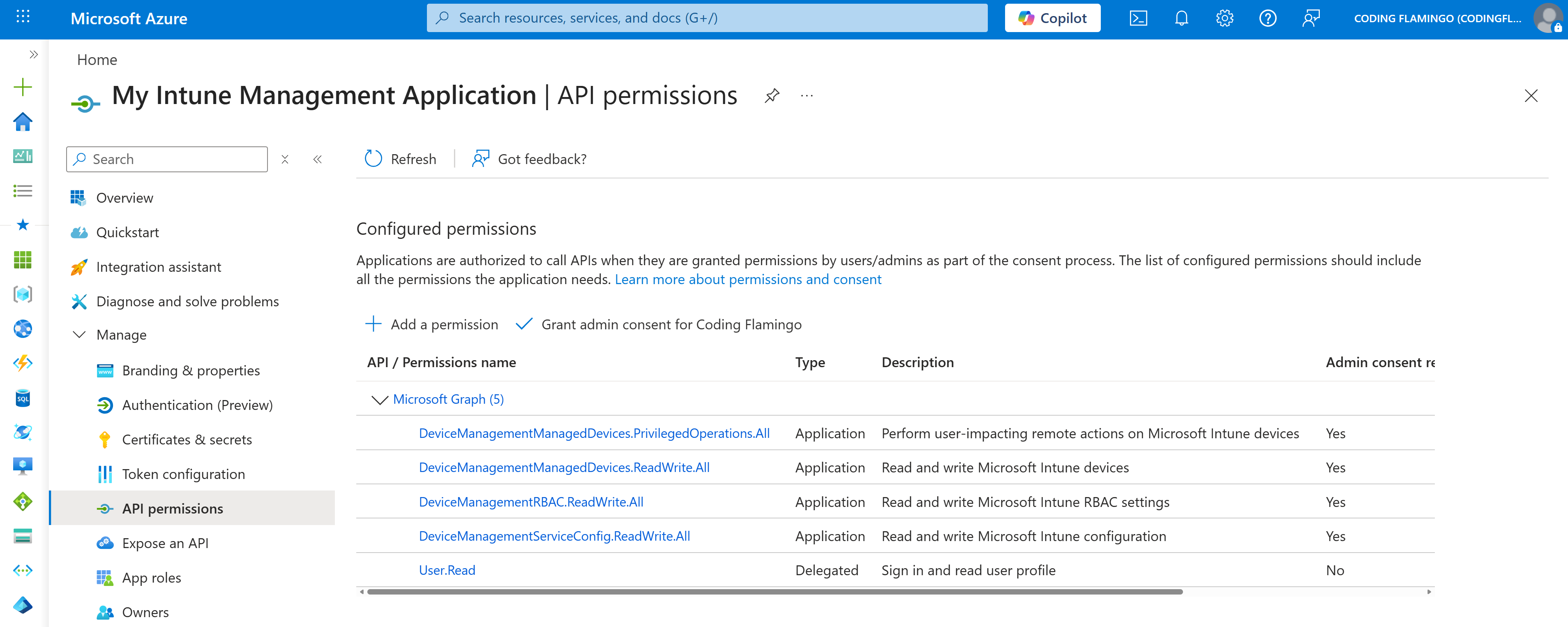 Entra Application Permissions showing how an Entra application can be granted permissions to access Intune resources