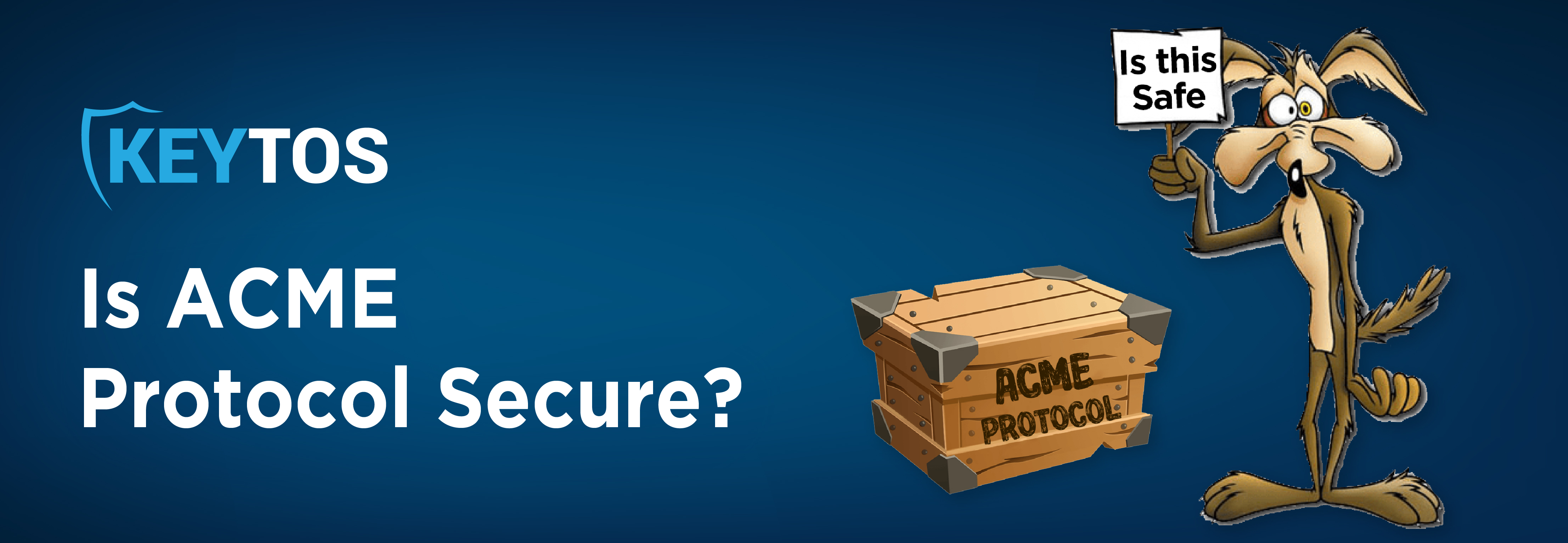 ACME Protocol - is ACME Protocol Secure?
