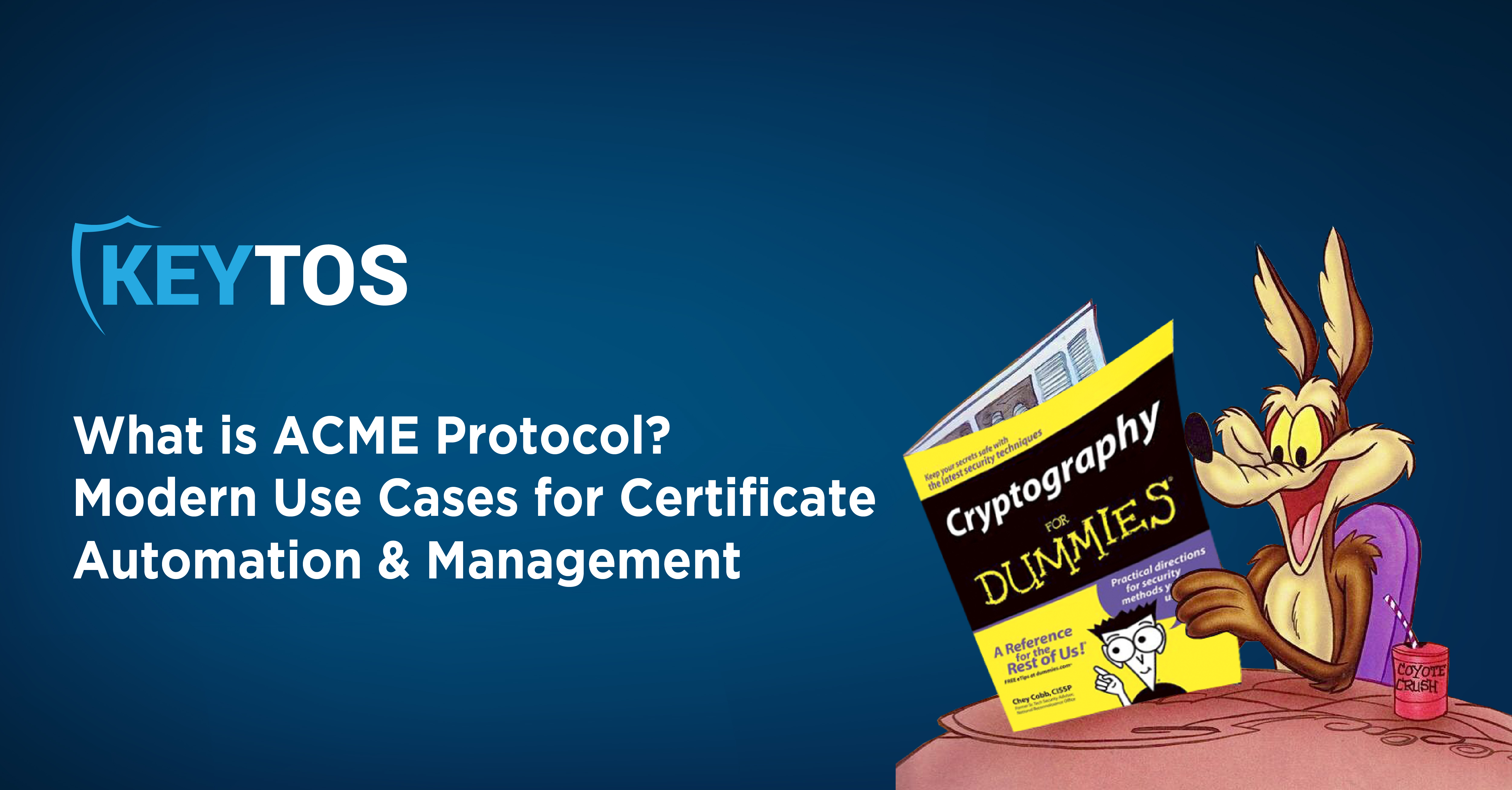 ACME Protocol Explained | Keytos Blog