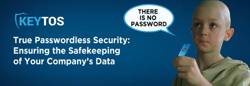 What is True Passwordless Security?