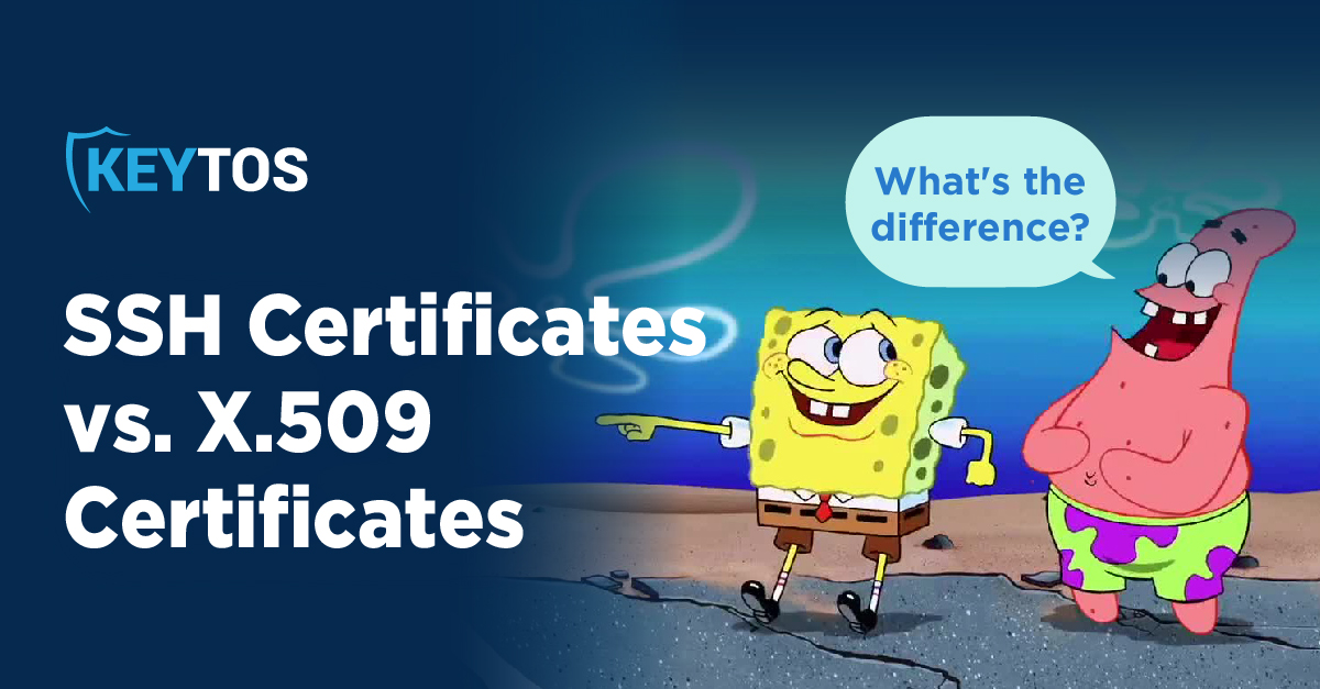What is the Difference Between SSH and X509 Certificates? | Keytos