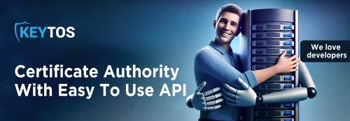 How To Create a Certificate Authority in Azure with API