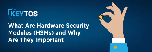 What are HSMs? Why are HSMs Important?