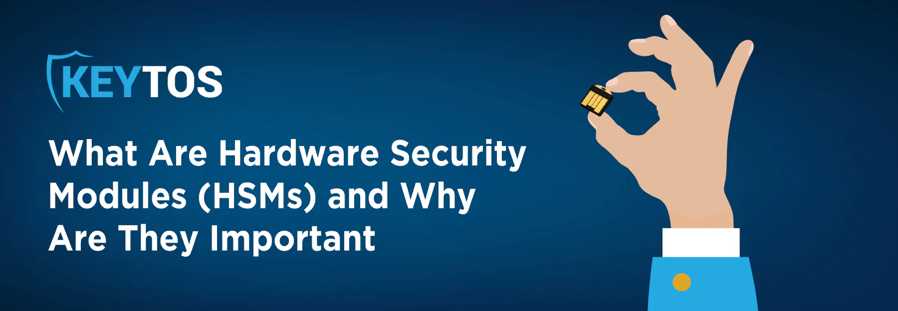 What are HSMs? Why are Hardware Security Modules important?