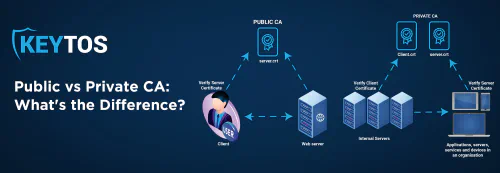 Public Certificate Authority vs. Private Certificate Authority