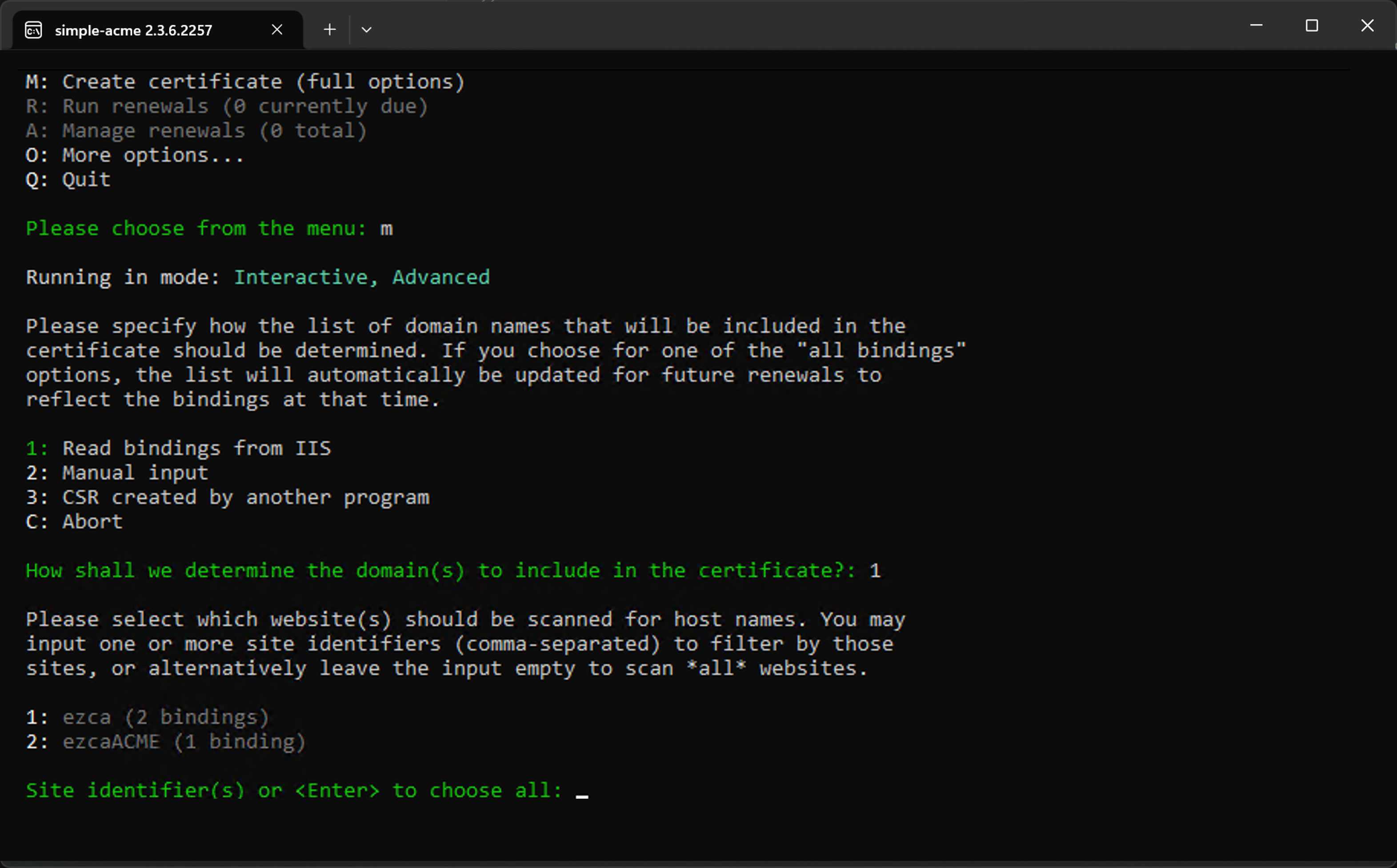 simple-acme site selection screen showing list of IIS sites with their bindings
