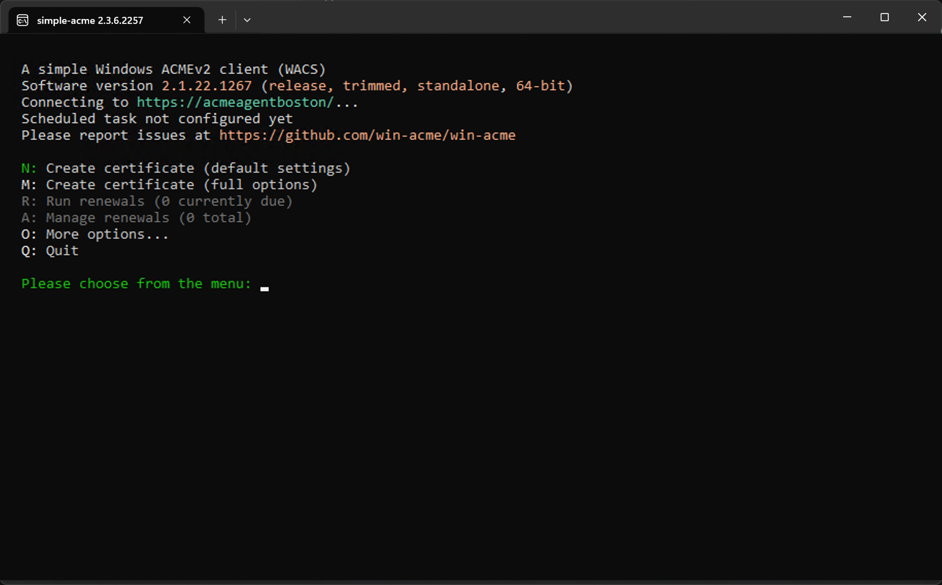 simple-acme executable file in Windows File Explorer