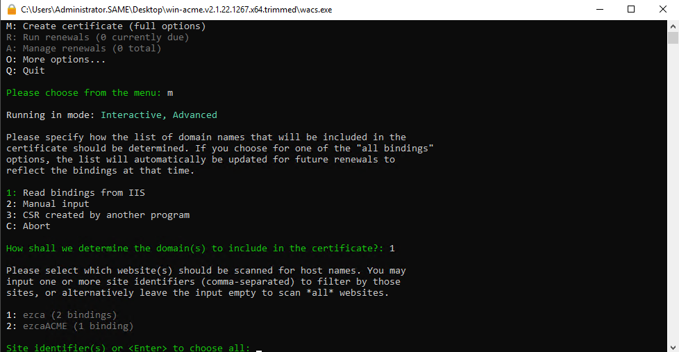 win-acme site selection screen showing list of IIS sites with their bindings