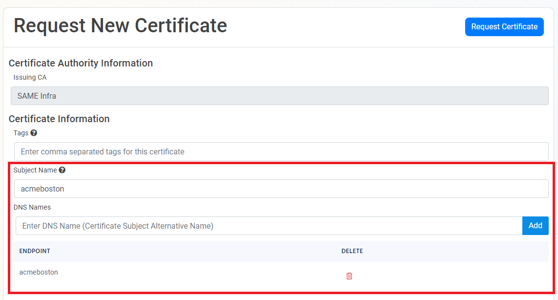 EZCA Cloud PKI Request New Certificate form with Subject Name and DNS Names fields pre-populated with the domain name provided during ACME agent registration