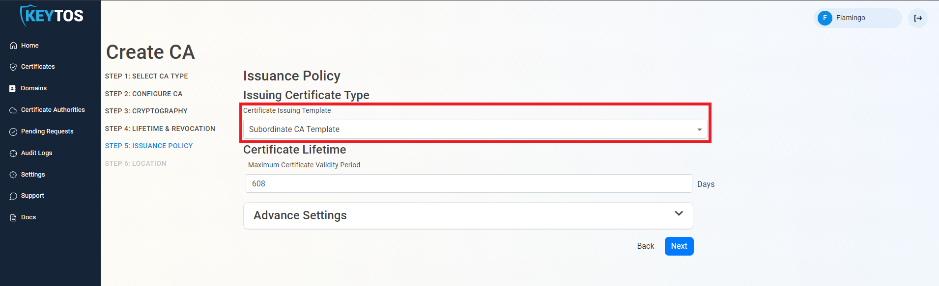 CA Root Certificate Template