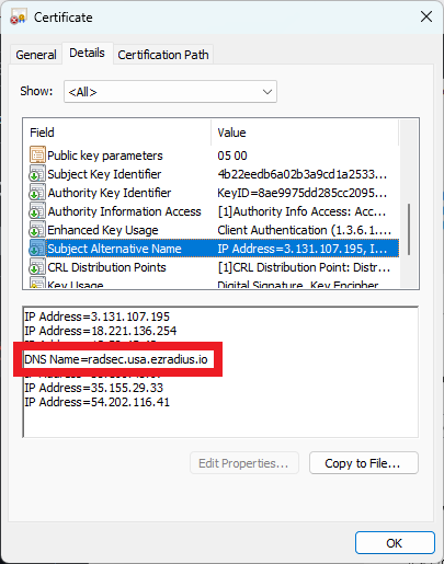 Copy DNS Name