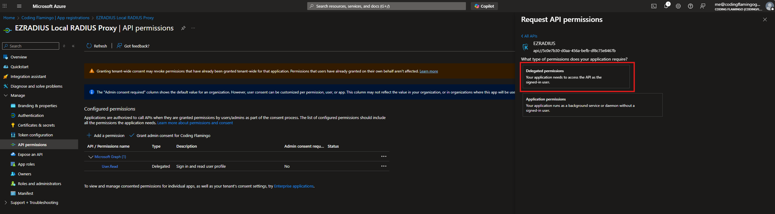 Delegated Permissions for EZRADIUS Cloud RADIUS in Azure