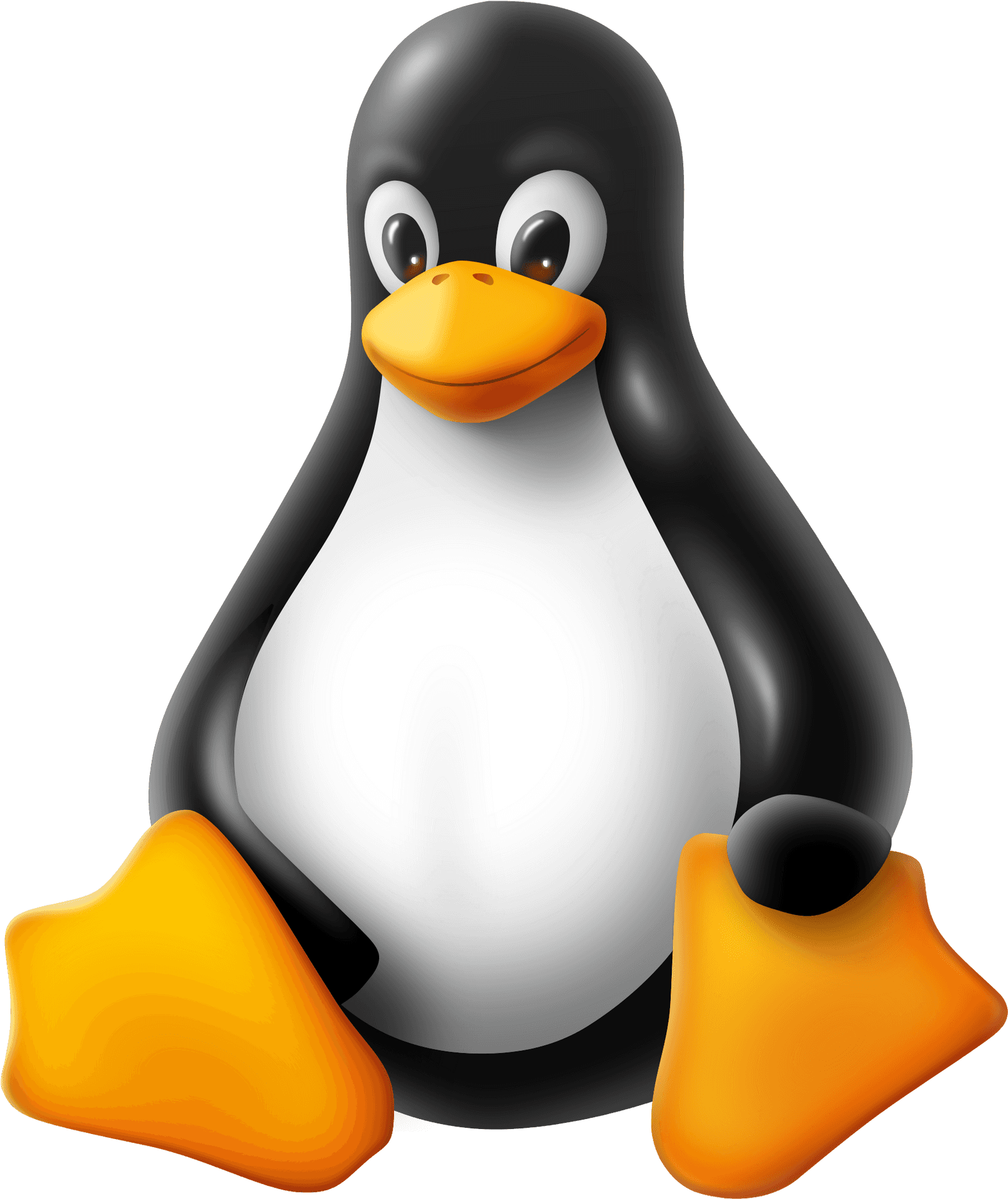 EZRADIUS natively integrates with Linux